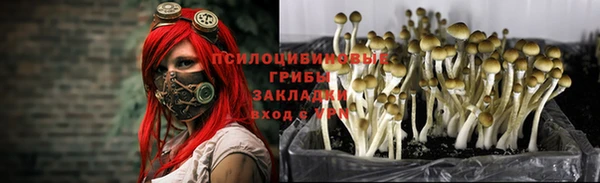 мефедрон Ельня