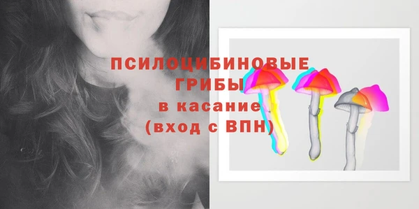 МДПВ Алексин