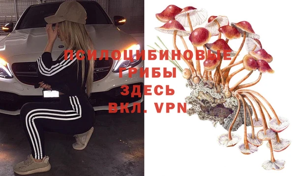 МДПВ Алексин