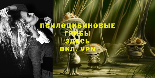 МДПВ Алексин